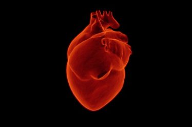 Nowoczesne podejście do kardiologii: Integracja wiedzy i technologii